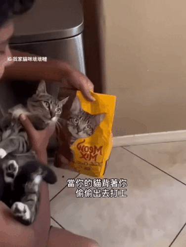 Просто гифки, всякие и&nbsp;разные