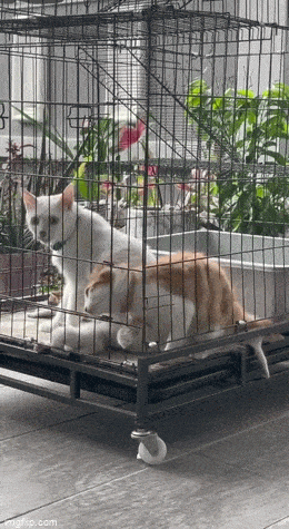 Просто гифки, всякие и&nbsp;разные