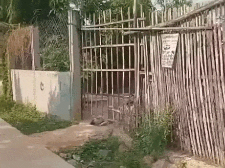 Просто гифки, всякие и&nbsp;разные