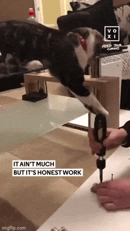 Просто гифки, всякие и&nbsp;разные