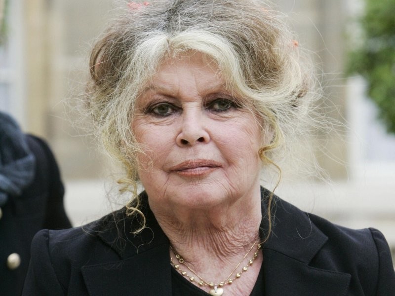 «Она любила меха, а я — свою семью»: как первая красавица Франции променяла нежеланное дитя на свободу