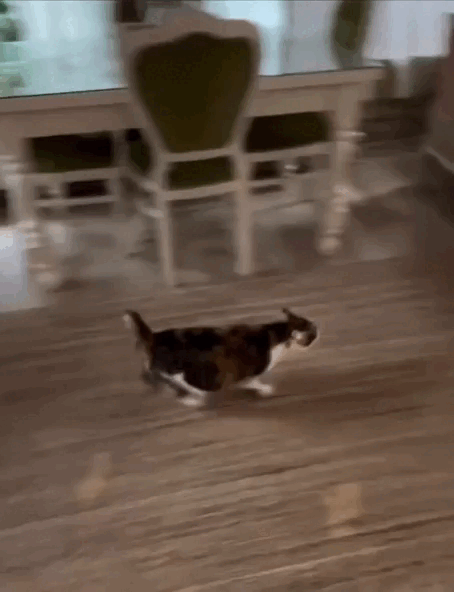 Просто гифки, всякие и&nbsp;разные