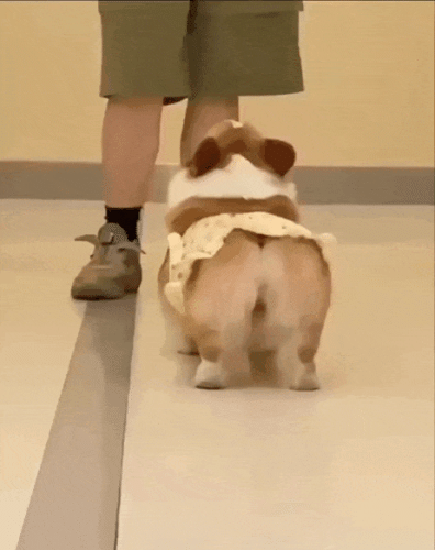 Просто гифки, всякие и&nbsp;разные