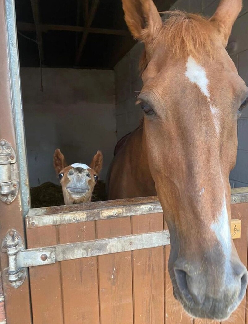 6. А вы будете со мной дружить?