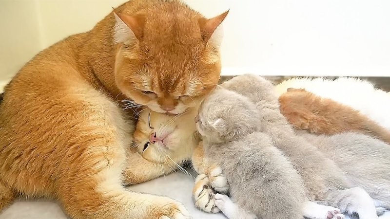 15. Что ещё нужно для счастья?