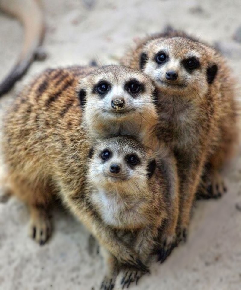 18. Мы есть друг у друга