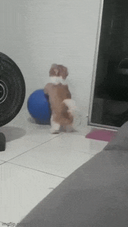 Просто гифки, всякие и&nbsp;разные