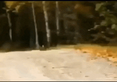 Просто гифки, всякие и&nbsp;разные