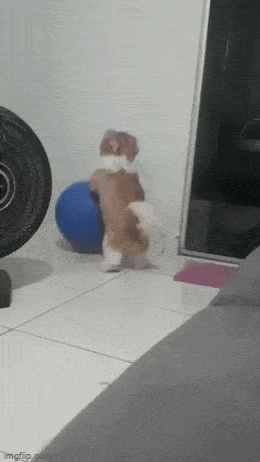 Просто гифки, всякие и&nbsp;разные