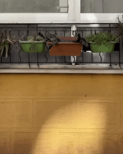 Просто гифки, всякие и&nbsp;разные