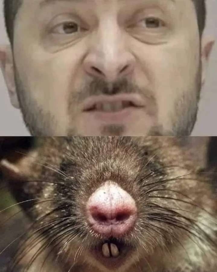 Политическая рубрика от&nbsp;NAZARETH за&nbsp;23.11.25. Новости, события, комментарии - 1939 /вечерний/