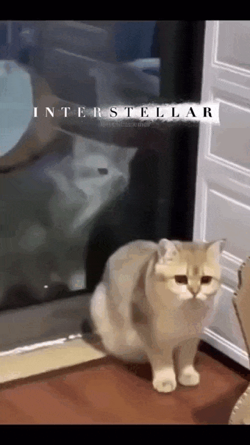 Просто гифки, всякие и&nbsp;разные