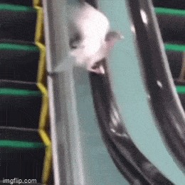 Просто гифки, всякие и&nbsp;разные