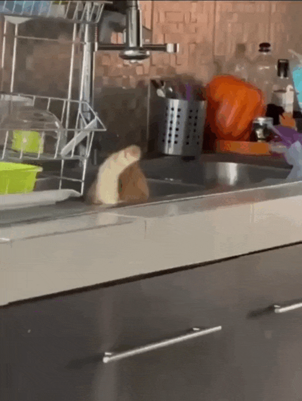 Просто гифки, всякие и&nbsp;разные