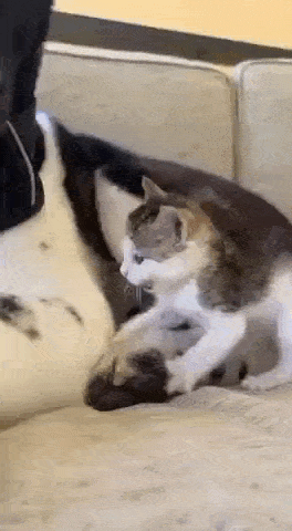 Просто гифки, всякие и&nbsp;разные