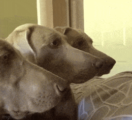 Просто гифки, всякие и&nbsp;разные