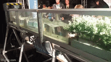 Просто гифки, всякие и&nbsp;разные