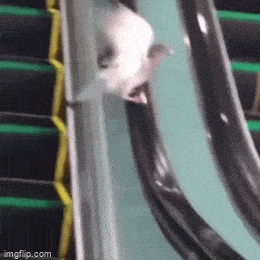 Просто гифки, всякие и&nbsp;разные