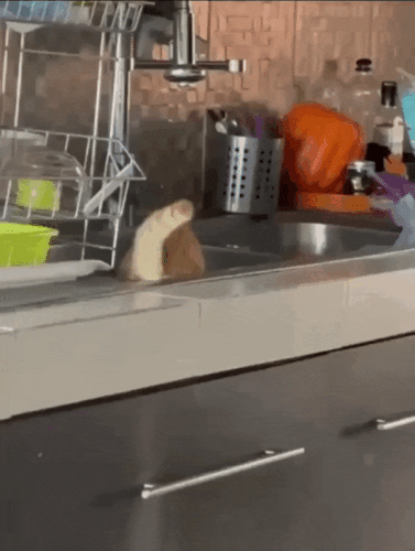 Просто гифки, всякие и&nbsp;разные