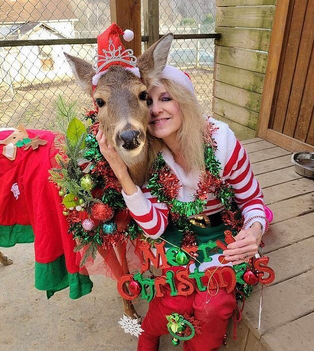 Олень убил спасшую его бабушку