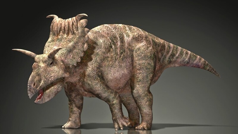 1. Самое большое количество рогов