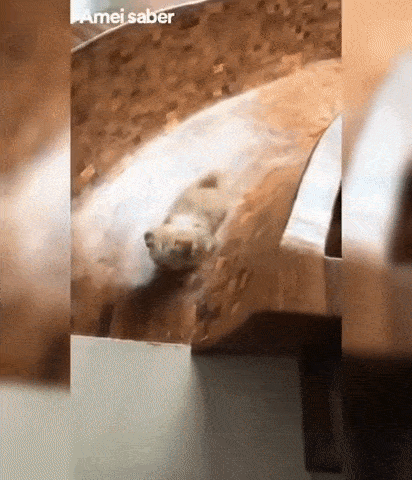 Просто гифки, всякие и&nbsp;разные