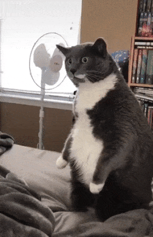 Просто гифки, всякие и&nbsp;разные