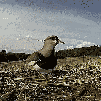 Просто гифки, всякие и&nbsp;разные