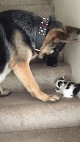 Просто гифки, всякие и&nbsp;разные