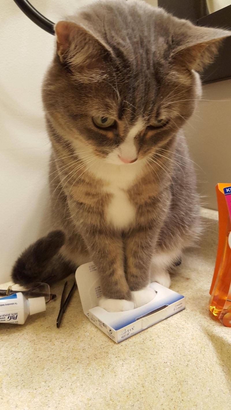 8. Грустно, но попытаться стоило