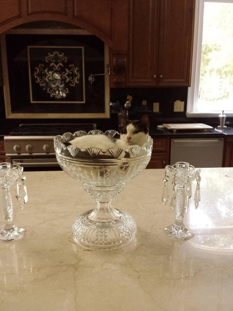 14. Достойное бриллианта обрамление