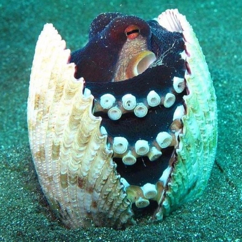 3. Маленькая, зато своя