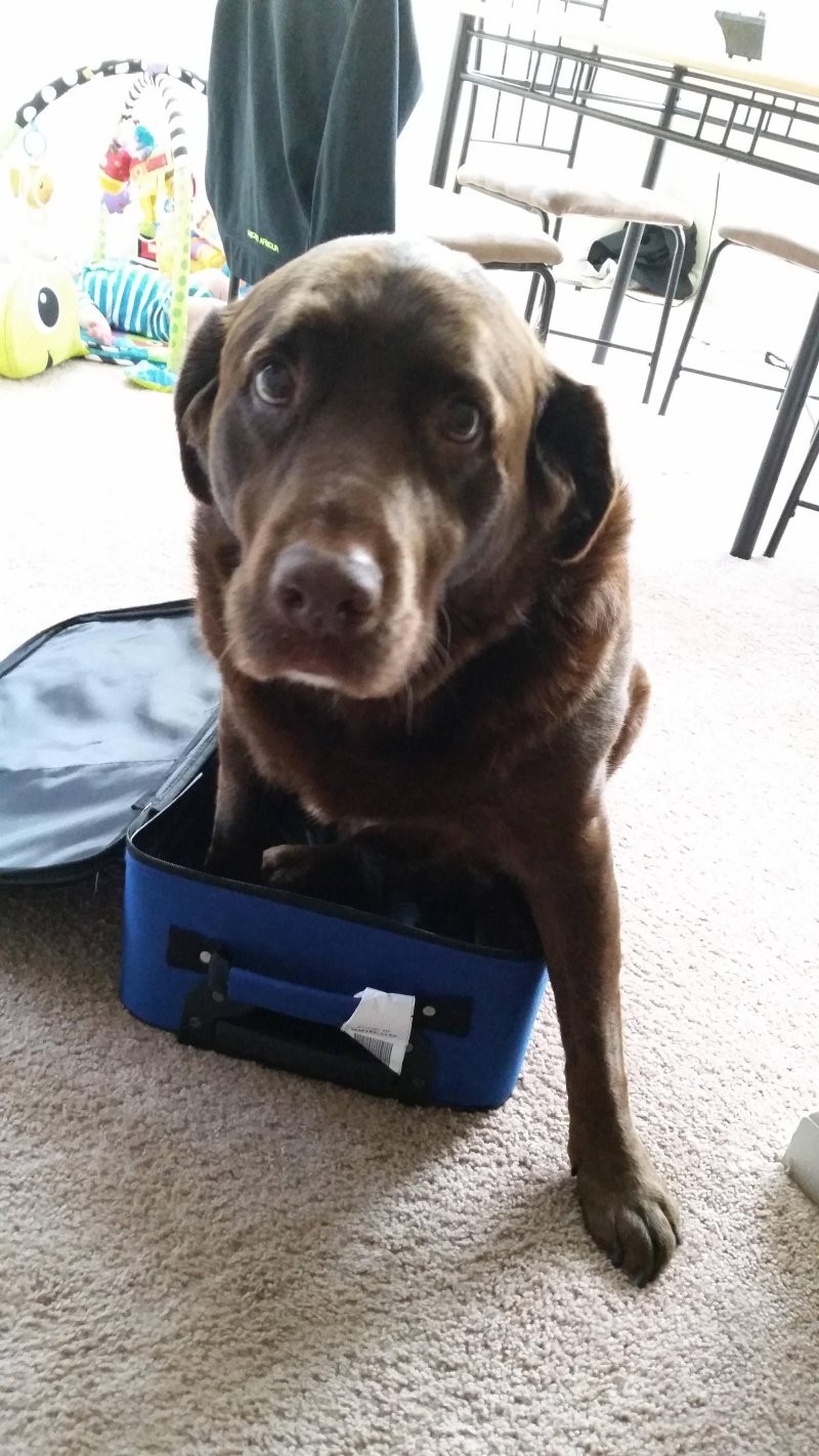 12. Чуть не забыли главное