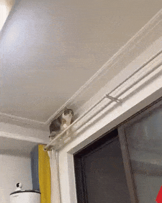 Просто гифки, всякие и&nbsp;разные