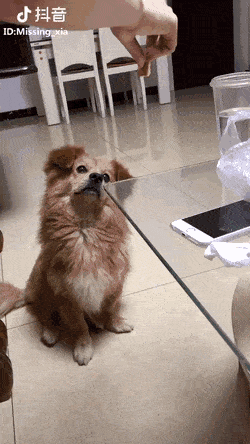 Просто гифки, всякие и&nbsp;разные