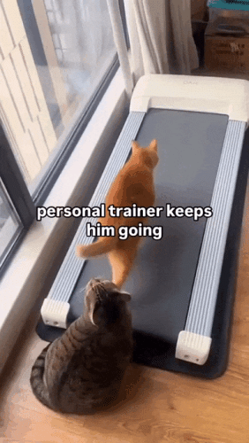 Просто гифки, всякие и&nbsp;разные