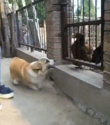 Просто гифки, всякие и&nbsp;разные