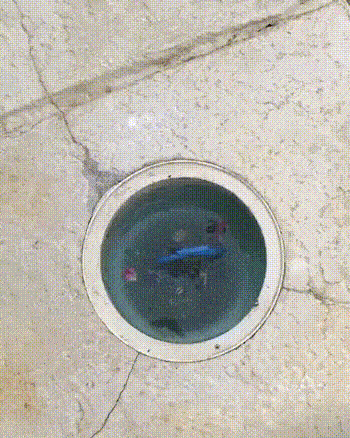 Просто гифки, всякие и&nbsp;разные