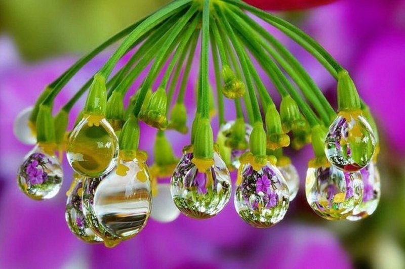 7. Живая люстра