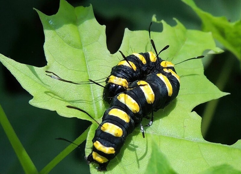 8. Встреча с собой