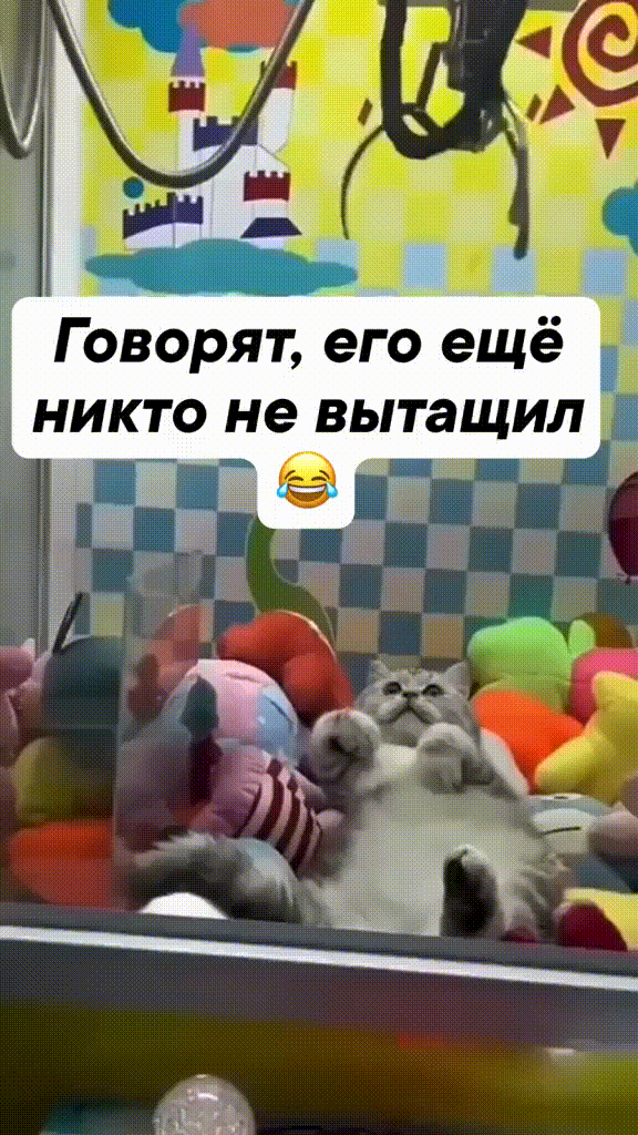 Просто гифки, всякие и&nbsp;разные