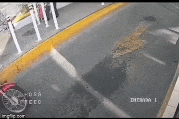 Просто гифки, всякие и&nbsp;разные