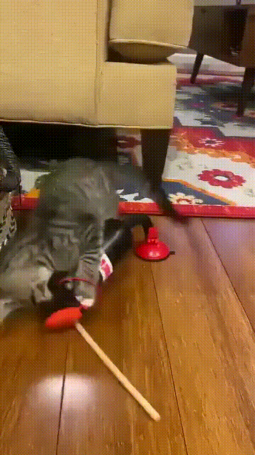 Просто гифки, всякие и&nbsp;разные