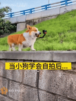 Просто гифки, всякие и&nbsp;разные