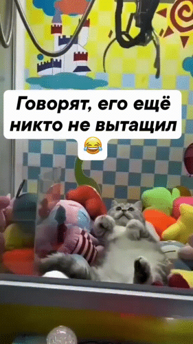 Просто гифки, всякие и&nbsp;разные