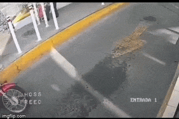 Просто гифки, всякие и&nbsp;разные