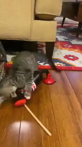 Просто гифки, всякие и&nbsp;разные