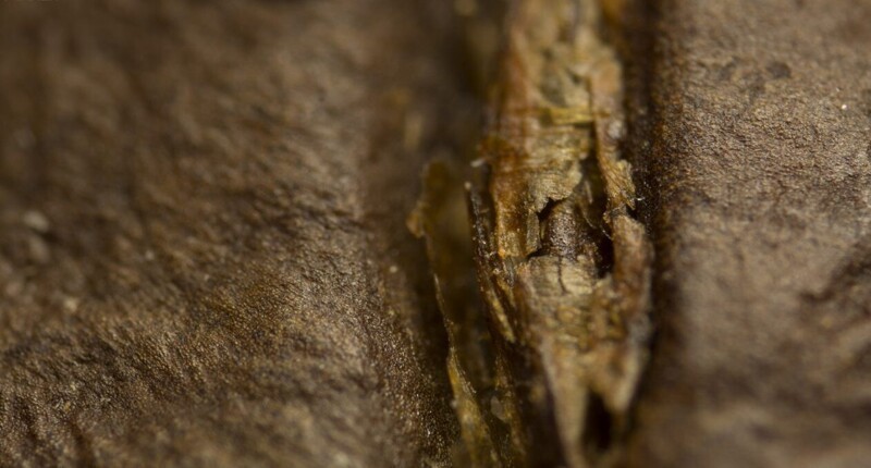 2. Кофейное зерно