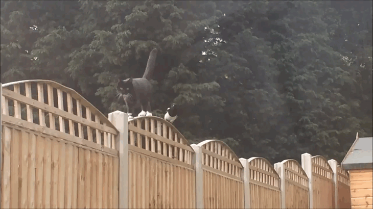 Просто гифки, всякие и&nbsp;разные