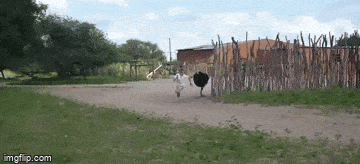 Просто гифки, всякие и&nbsp;разные